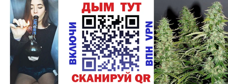 Шишки марихуана гибрид  Ивантеевка 